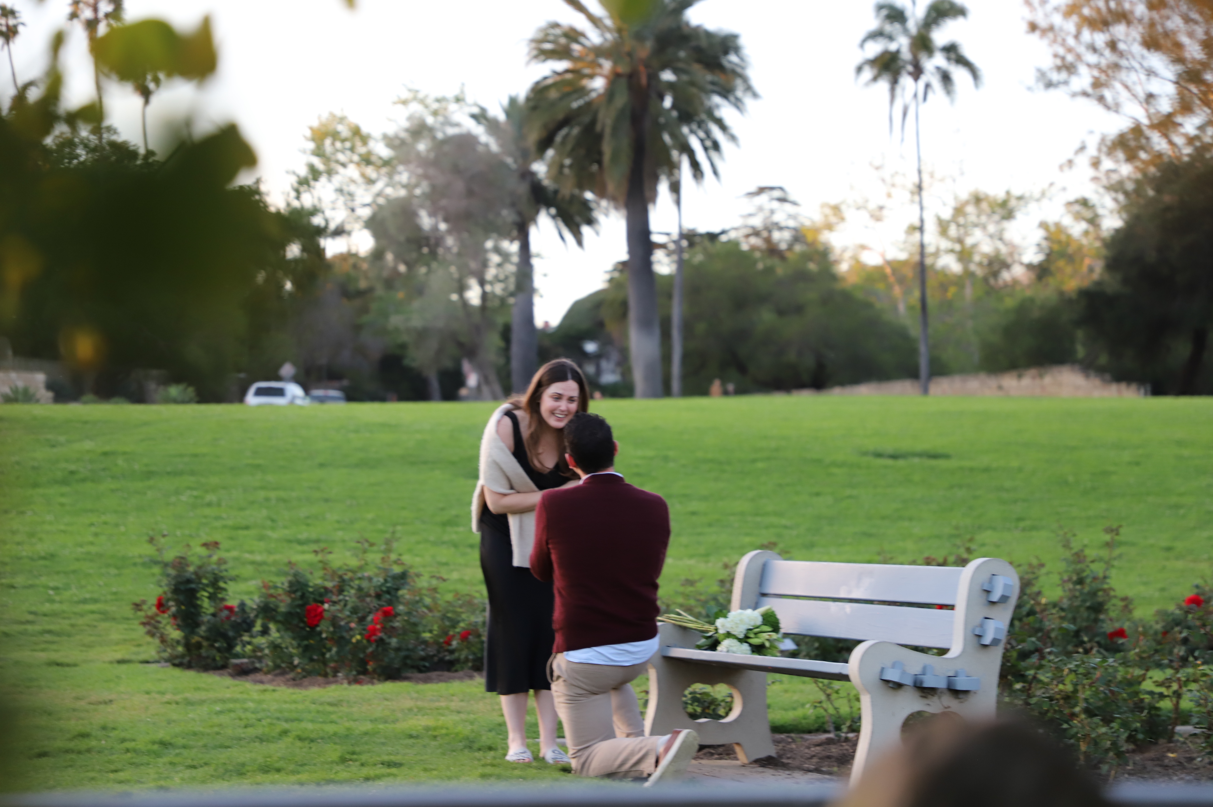 Max proposing to Ashley in the rose garden
